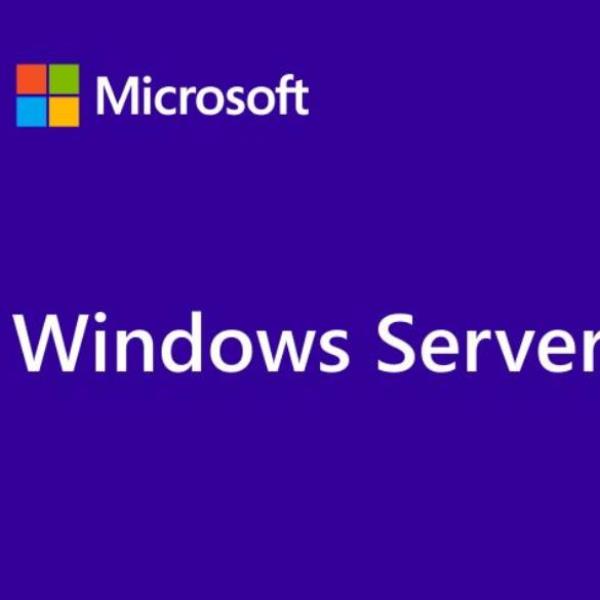 Microsoft Svr Cal2022 User Cal 5clt Es